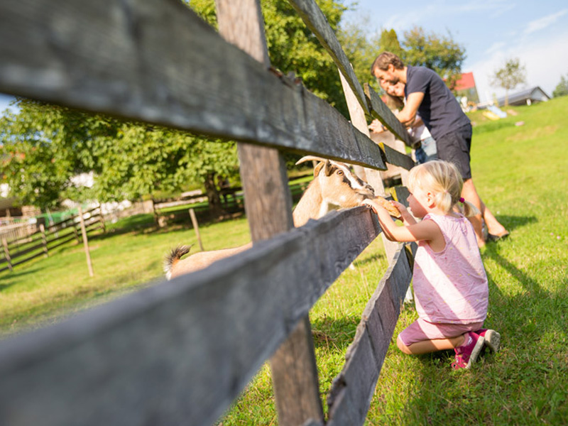 Baby und Kleinkinderurlaub