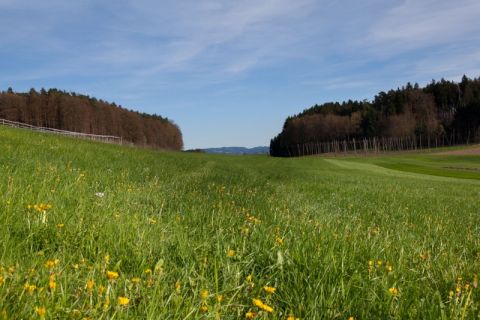 Aufenthaltsmöglichkeiten